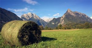 vreme bovec