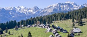 apartmaji pokljuka