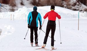 tek na smučeh pokljuka