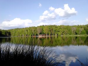 bukovniško jezero